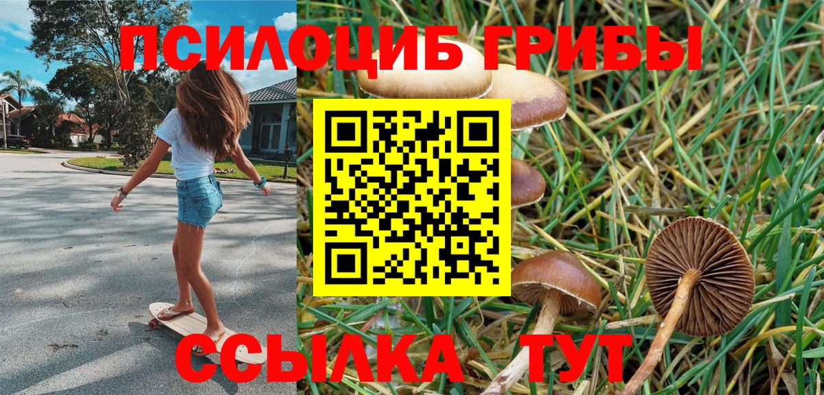 Псилоцибиновые грибы GOLDEN TEACHER Сосновоборск