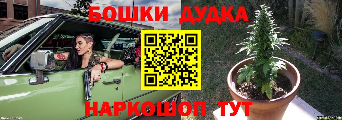 МАРИХУАНА ГИДРОПОН  Канабис индика  Вход с VPN  Сосновоборск 
